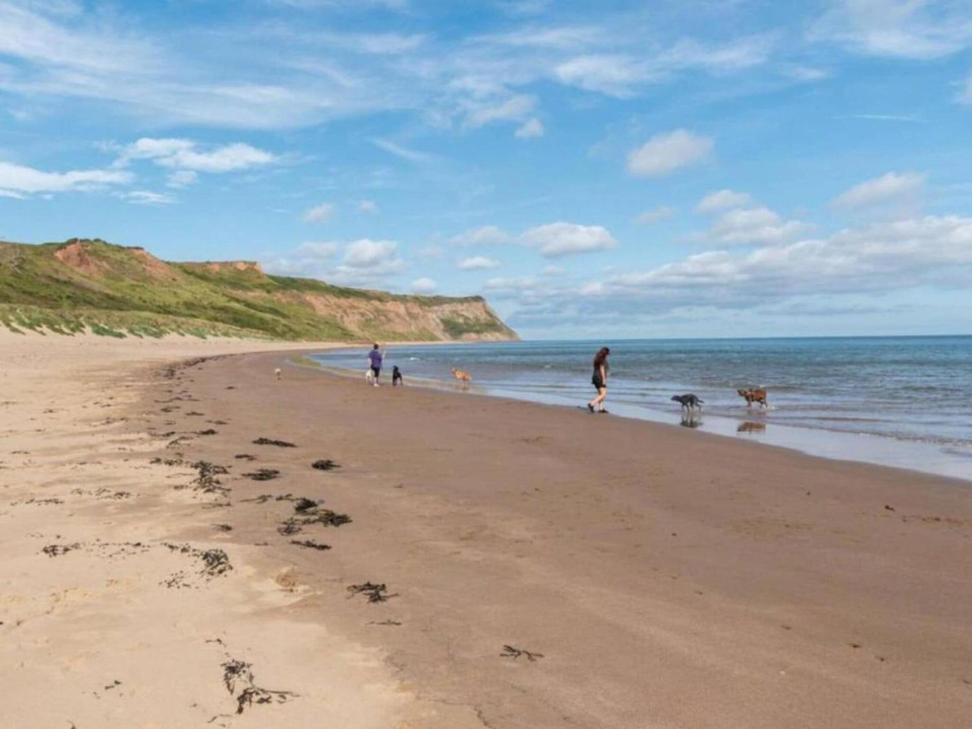 Seasalt Twobedroom Apt In Skinningrove 外观 照片